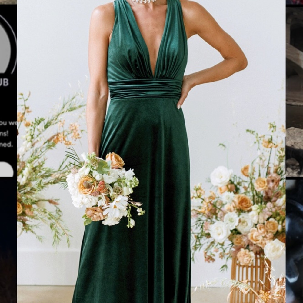 Revelry Dylan Velvet Dress